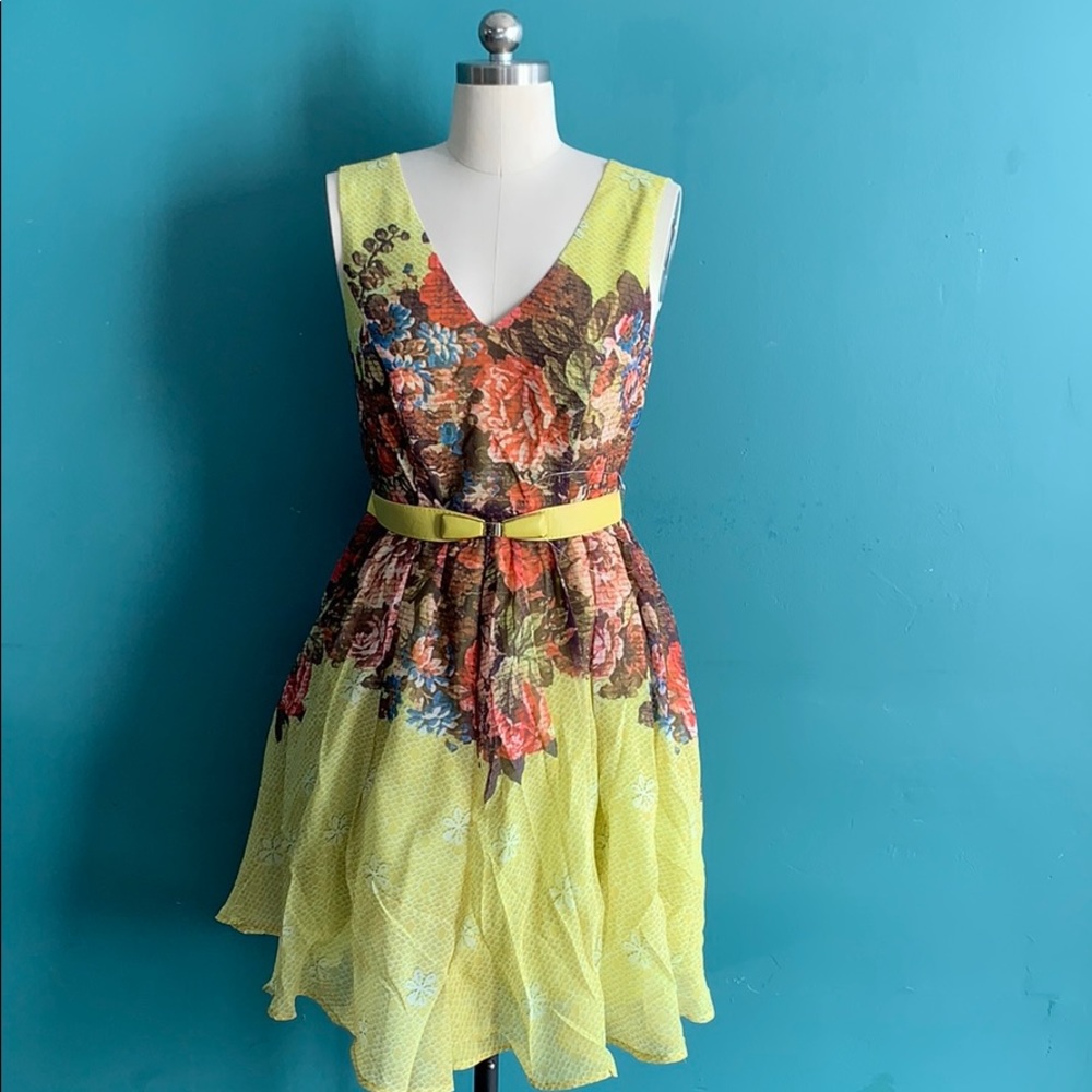 Darling Spring Dress